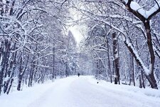 23-winter-scene-nomonkey-b-1.jpg