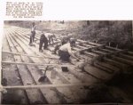 Roots Hall West Stand Steps 1955 B.W.jpg